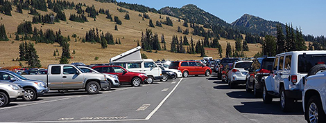 Enjoy Mount Rainier (traffic and all) by knowing the ropes